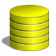 Database Training in the US