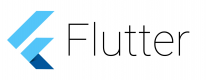 Flutter Training in the US