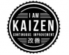 Kaizen Training in the US
