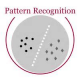 Pattern Recognition Training in the US