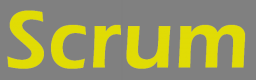 Scrum Training in the US